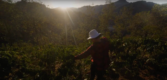 Our Commitment to Sustainability and Transparency