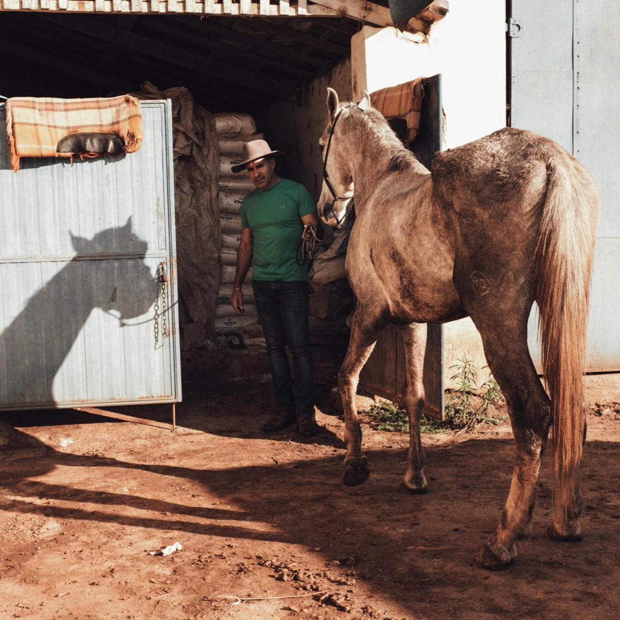 Brazil Fazenda Serrado