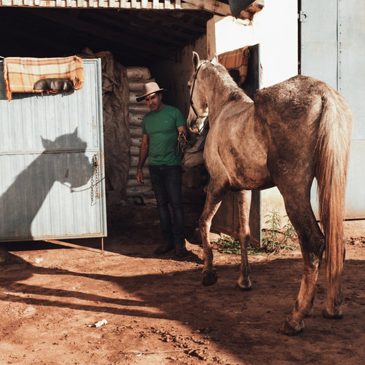Brazil Fazenda Serrado