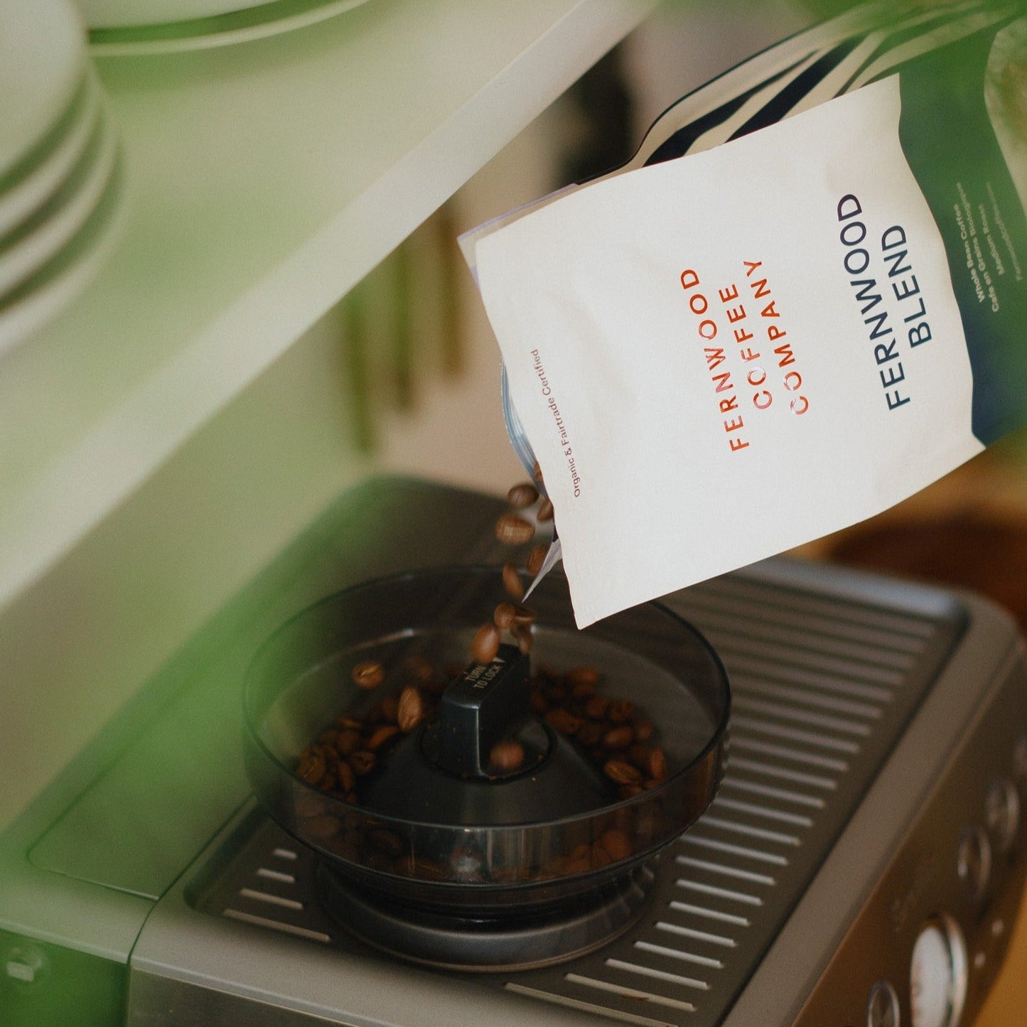 Fernwood Blend