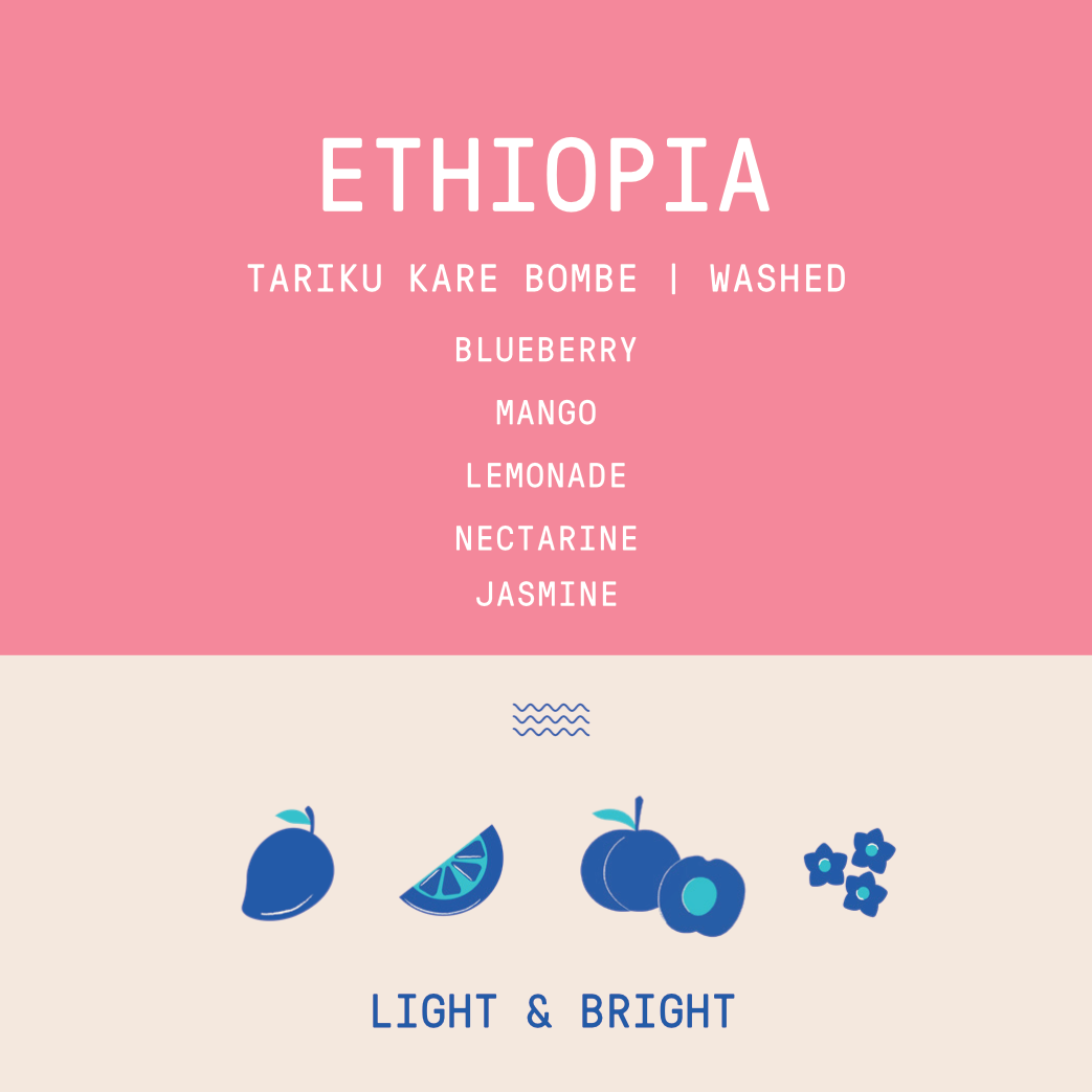Ethiopia - Tariku Kare Bombe | Washed