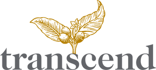 Transcend logo