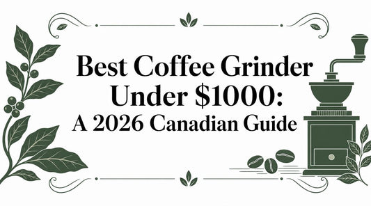 Best Coffee Grinder Under $1000: A 2026 Canadian Guide