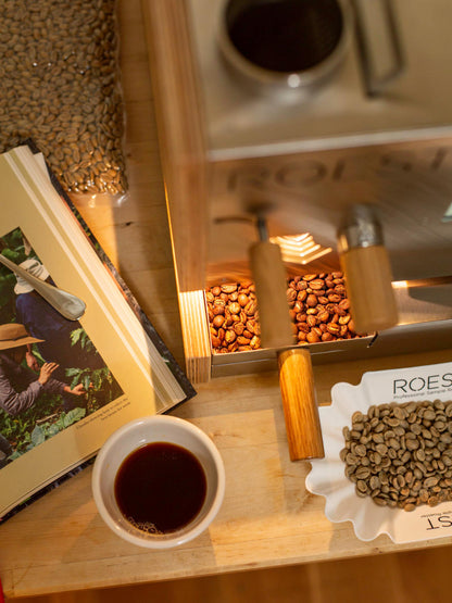ROEST S100 Coffee Roaster (120V) [**UPGRADED TO L100 PLUS**]