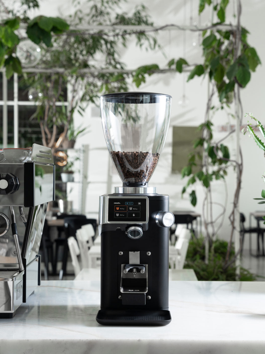 CEADO Rev Steel Espresso Grinder (120V) (⌀83mm) (w/ WAM Module)