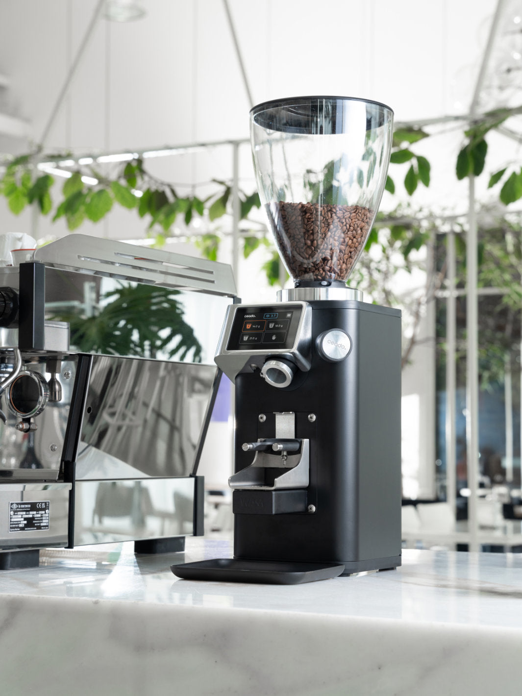 CEADO Rev Titan Espresso Grinder (120V) (⌀83mm) (w/ WAM Module)