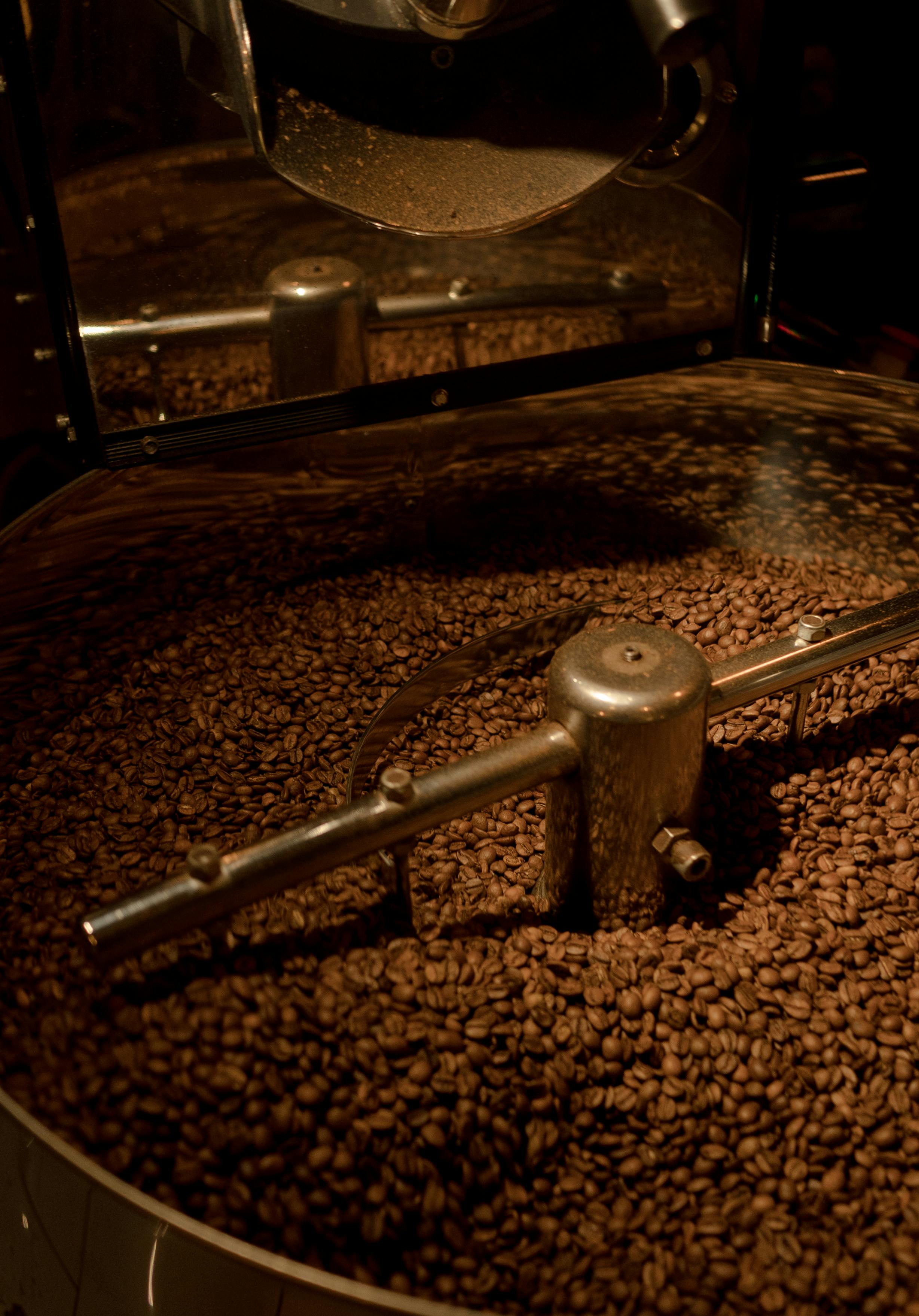Coffee beans cooling off after roasting