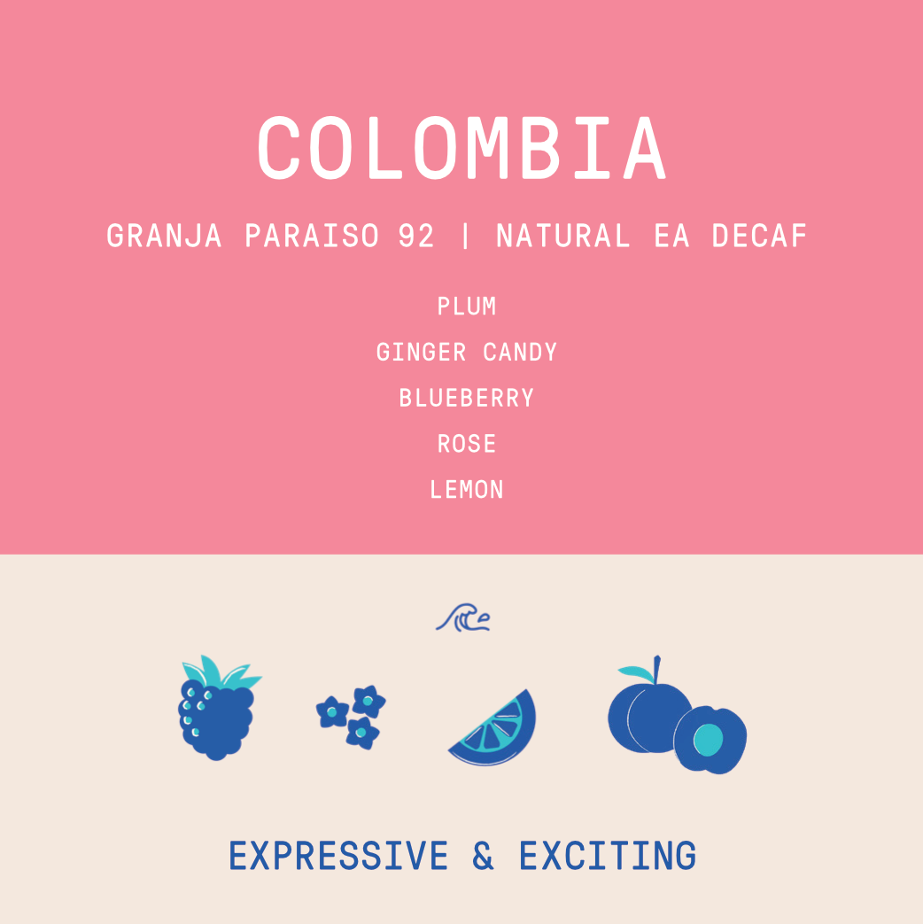 Colombia - Granja Paraiso 92 | Anaerobic Natural EA DECAF Red Bourbon