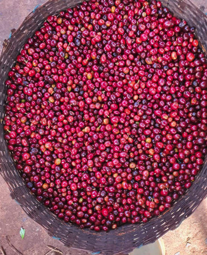 Ethiopia Kayon Mountain