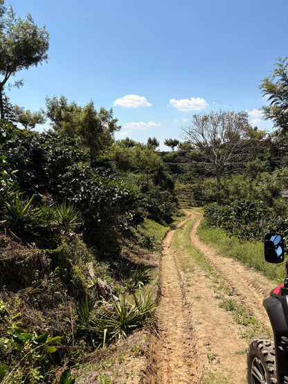 Finca Carrizalito