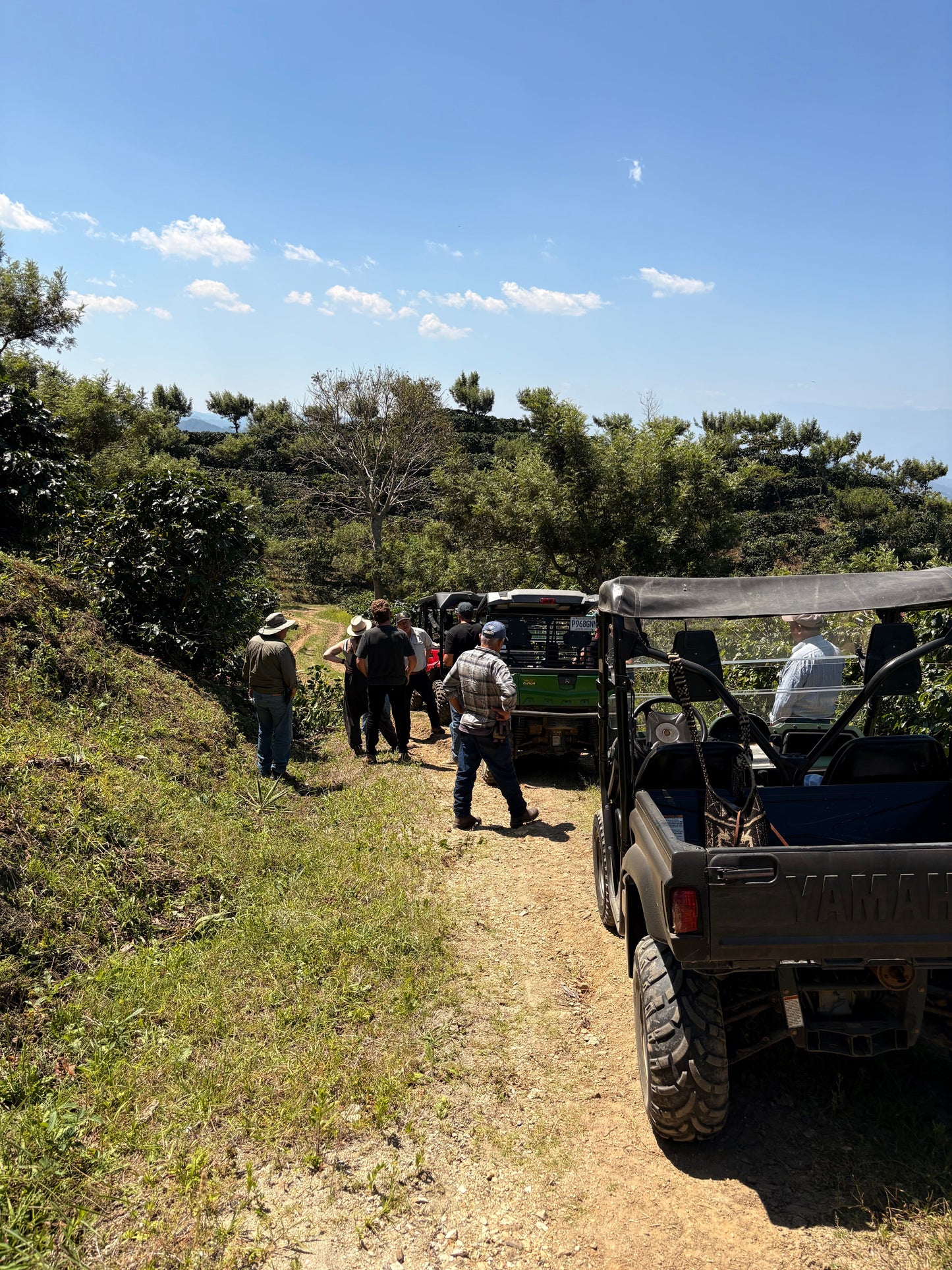 Finca Carrizalito