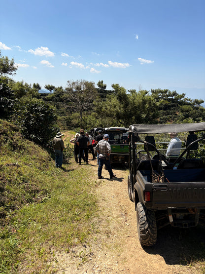 Finca Carrizalito