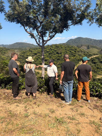 Finca Carrizalito