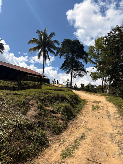 Finca Carrizalito