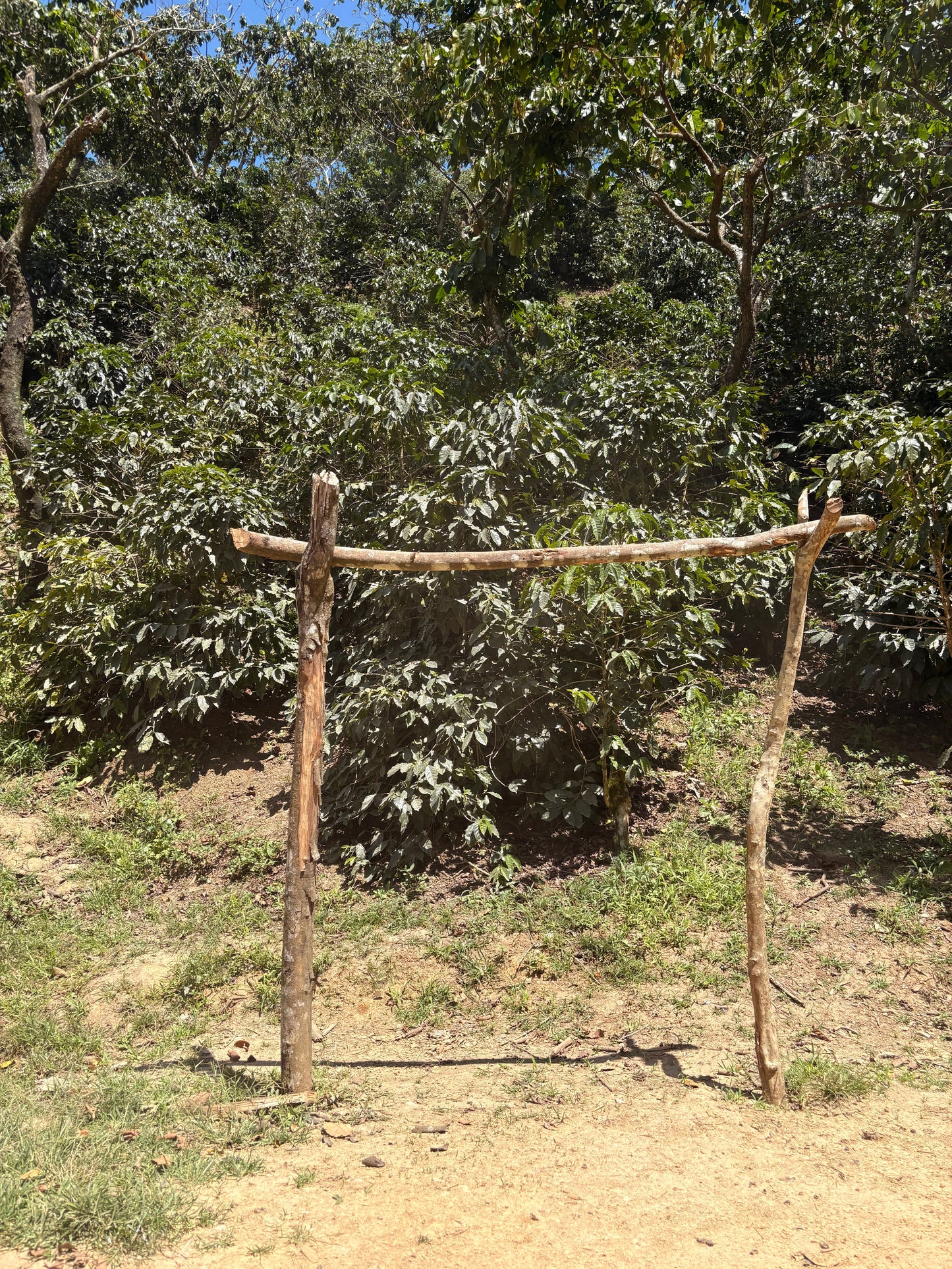 Finca Carrizalito