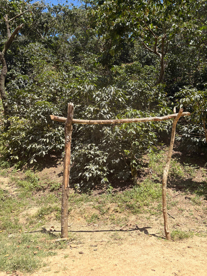 Finca Carrizalito