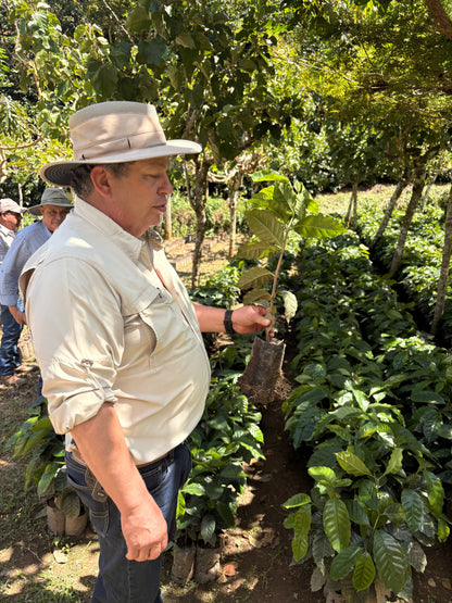 Finca Carrizalito