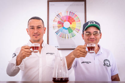 Paraiso 92 | Red Bourbon Decaf