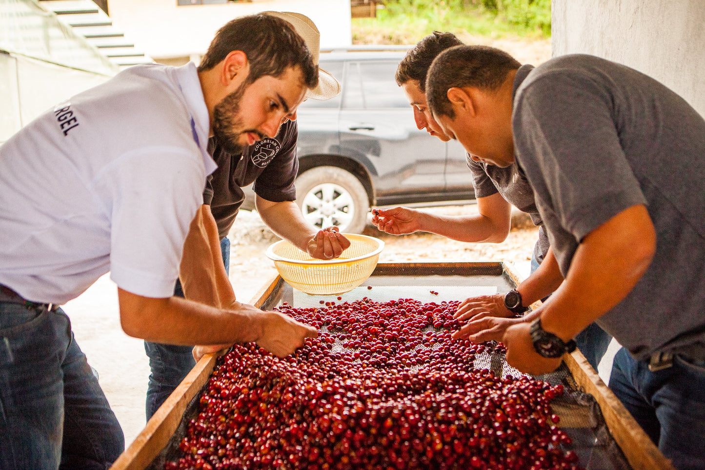 Decaf Colombia - Elias and Shady Bayter