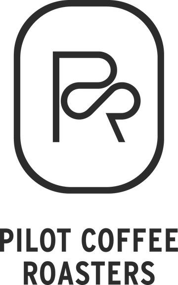 Pilot logo