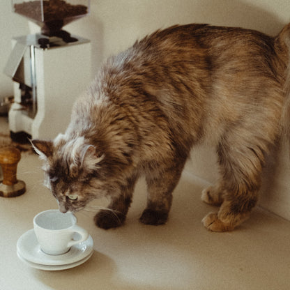 1936 Espresso