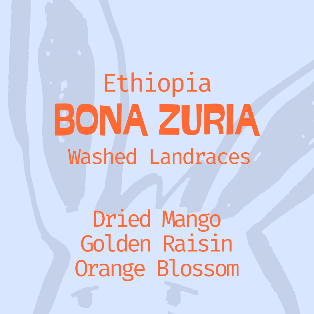 Bona Zuria