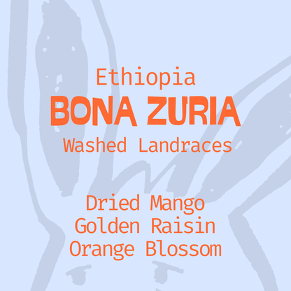 Bona Zuria