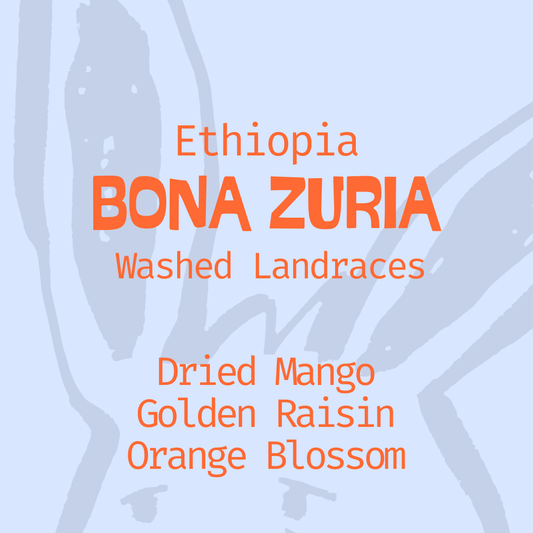 Bona Zuria