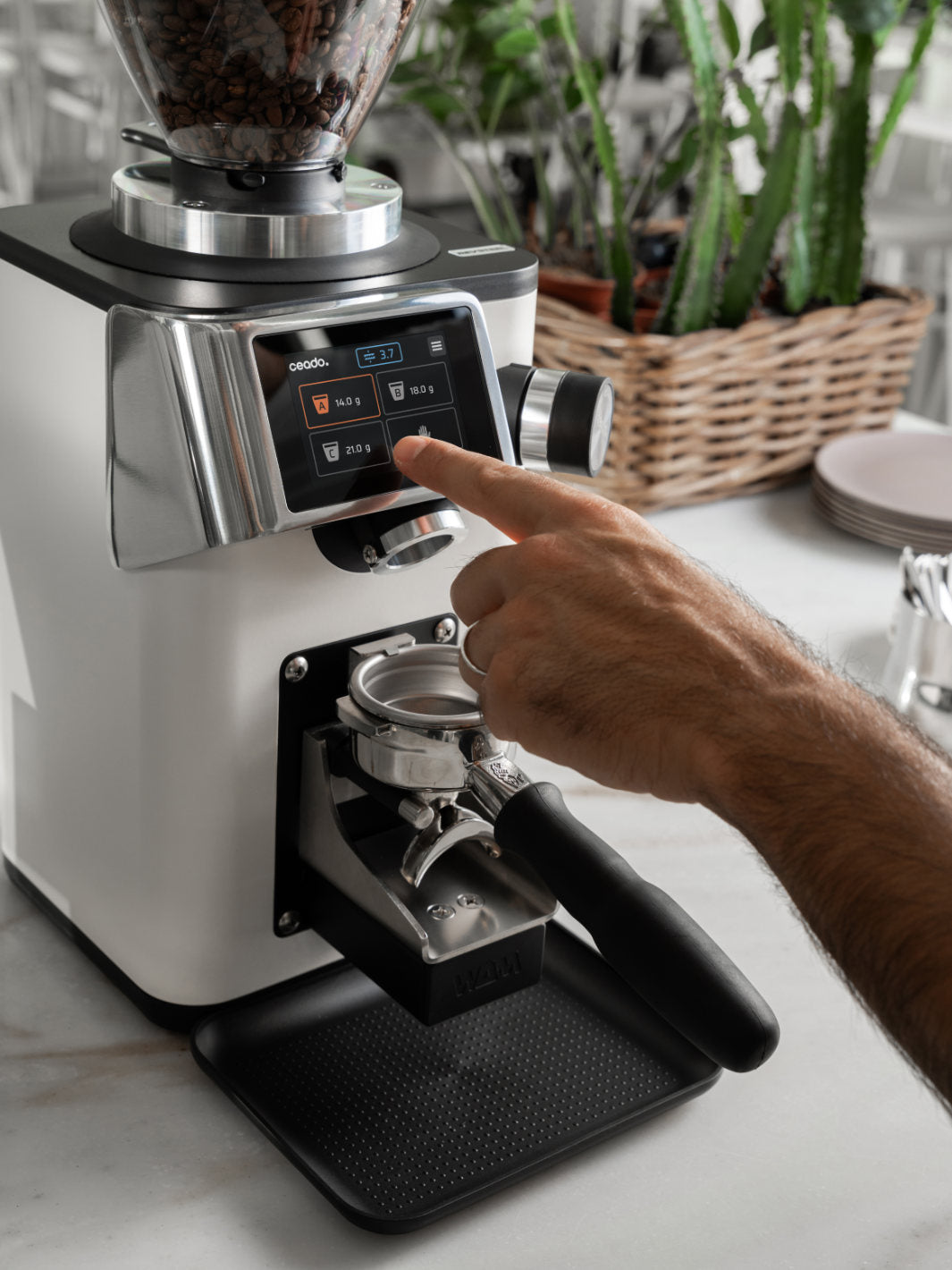 CEADO Rev Steel Espresso Grinder (120V) (⌀83mm) (w/ WAM Module)