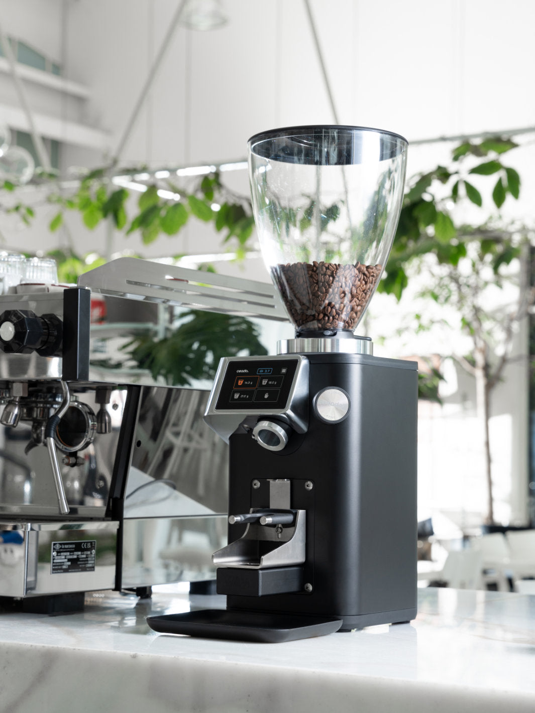 CEADO Rev Steel Espresso Grinder (120V) (⌀83mm) (w/ WAM Module)