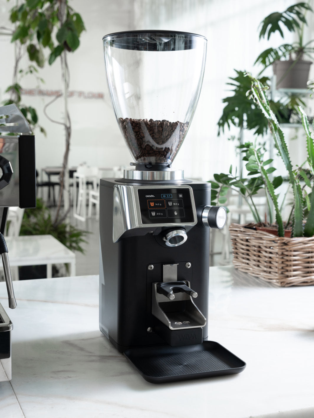 CEADO Rev Steel Espresso Grinder (120V) (⌀83mm) (w/ WAM Module)