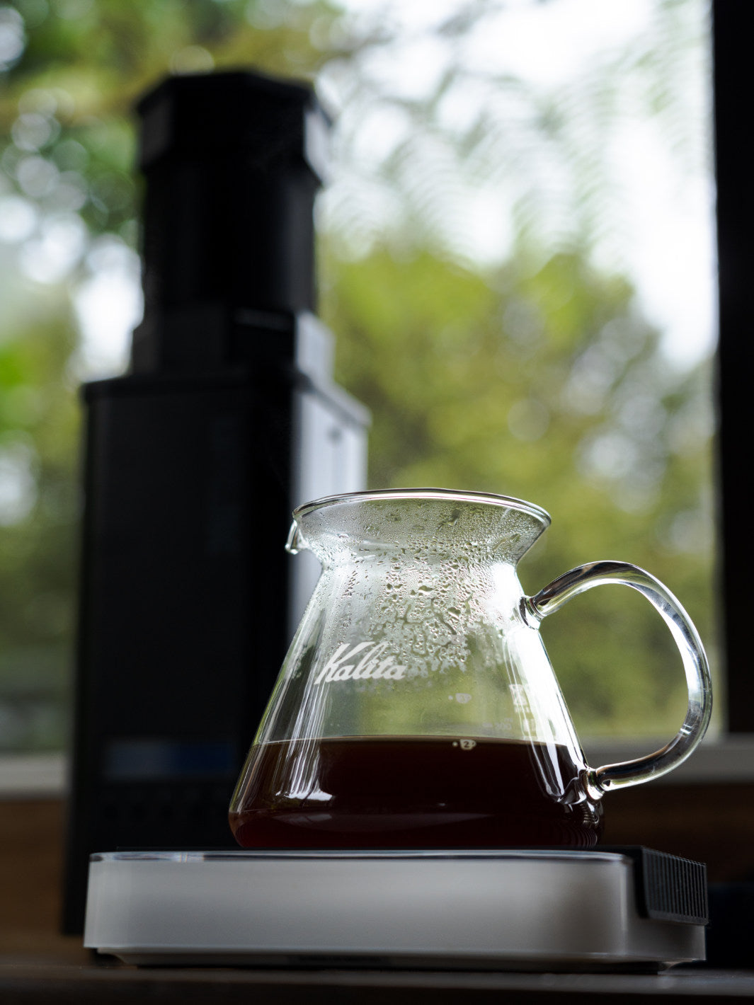KAFFELOGIC Nano 7 Coffee Roaster (120V)