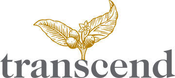 Transcend logo