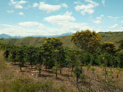 La Esperanza