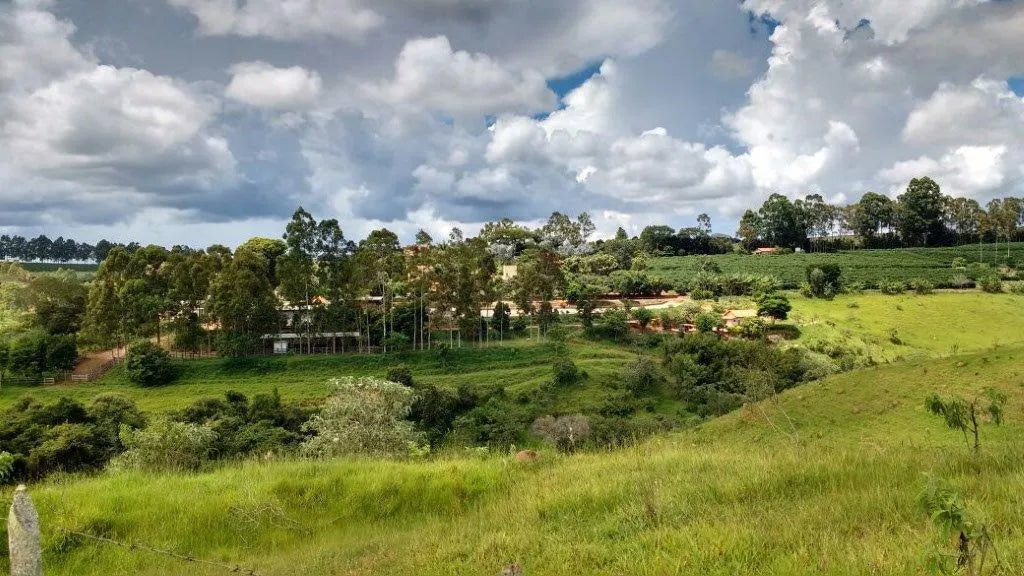 Serras de Minas Natural Mosaic