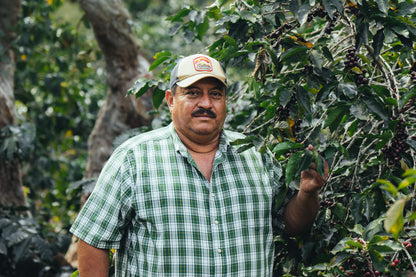 Tony Medina Early Harvest Caturra Bourbon